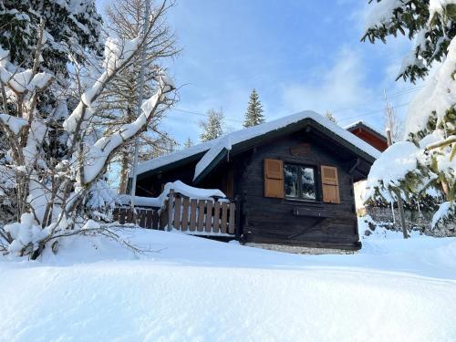 Entire cozy chalet in St-Cergue - 30 min from Geneva, Pension in Saint-Cergue bei Vich