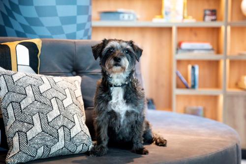 Moxy The Hague, L'Aia (foto 10)