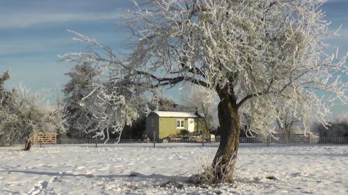 the abberton shepherds hut