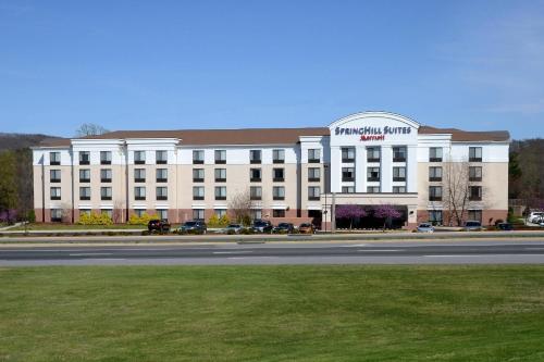 SpringHill Suites by Marriott Lynchburg Airport/University Area