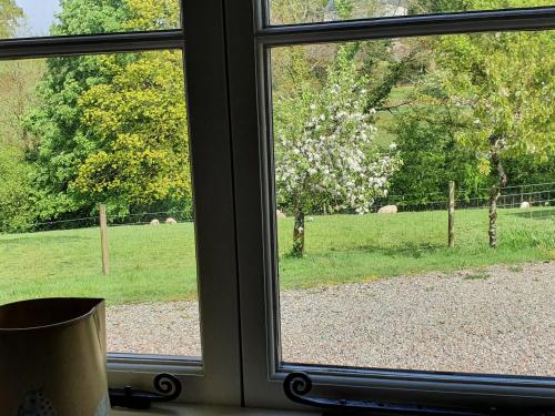 Mimi's Cottage - image 5