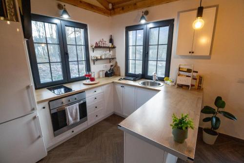 Dapur, Apartman TALIJA in Pirot