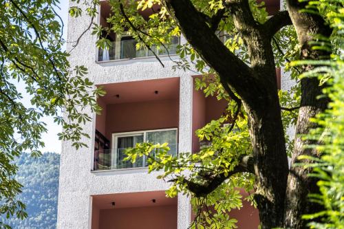 Hotel Stiegl Scala - image 9