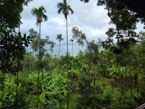 VanaJyotsna Forest Home