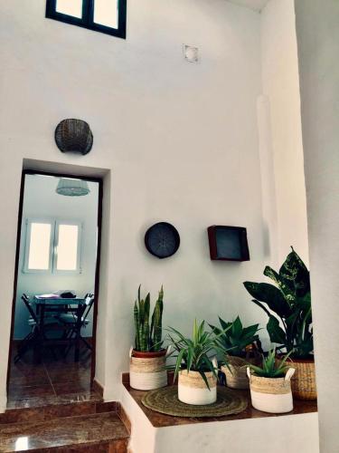 Casita Volcan Lanzarote in Ye