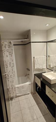 One-Bedroom Apartment image 7