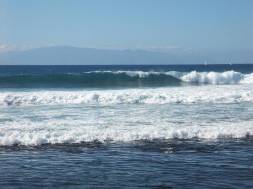 Chambres "Blanches" , bâtiment secondaire hotel la Caravelle, vue jardin Chambres "Blanches" , bâtiment secondaire hotel la Caravelle, vue jardin