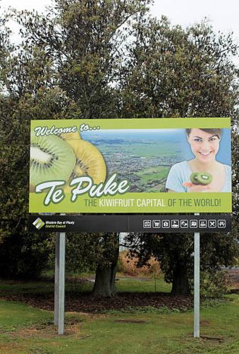 Guest House in Tepuke in Papamoa Beach