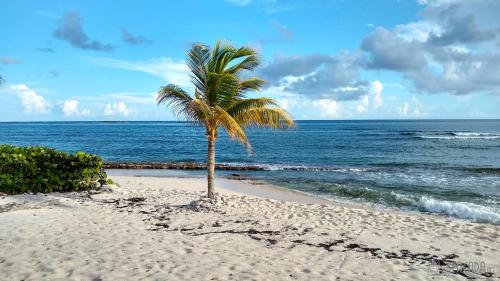 Seacada- Beachfront - Pool - Panoramic Sunsets