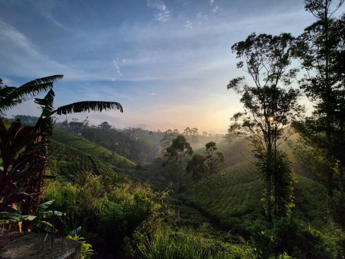 Tranquil Ridge Hilltop Bungalow