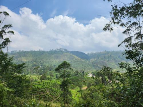 Tranquil Ridge Hilltop Bungalow