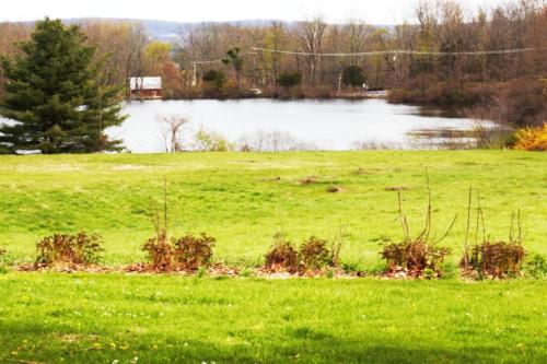 Private Lakeview Cottage and 2 Farmhouse Apartments near Rt 80 easy to NYC