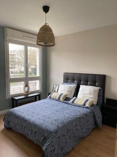 Charmant Appartement Type 2 Vieux Lille. - Location saisonnière - Lille