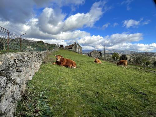 O Balcon Do Oitaven, vuestra finca privada en Galicia