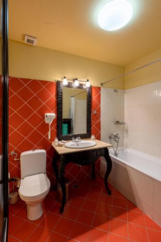 Hotel Central Park Sighisoara - image 8