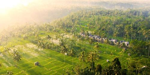 Stanagiri Luxury Retreat Ubud