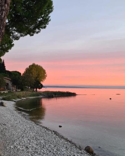 Casaflora_corteventurelli31