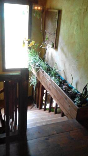 El Escondite del Miera in San Roque De Riomiera