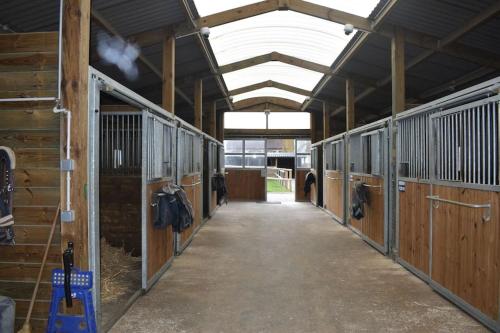 Haras de Connincthun