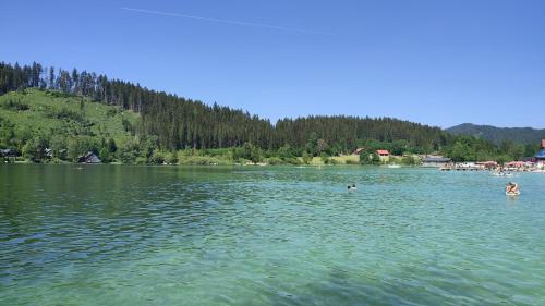 Nur 3 Min zu Skilift & 5Min zum See in Mitterbach, Österreich