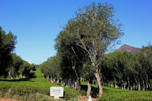 مناطق جذب قريبة, بنجالو هاتالي ميني وورلدز إند (Hatale Mini Worlds End Bungalow) in Madulkelle