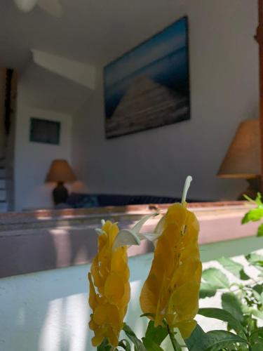 Buzios, Amazing Location, Fully Equipped, Great Pool!, Búzios (foto 8)