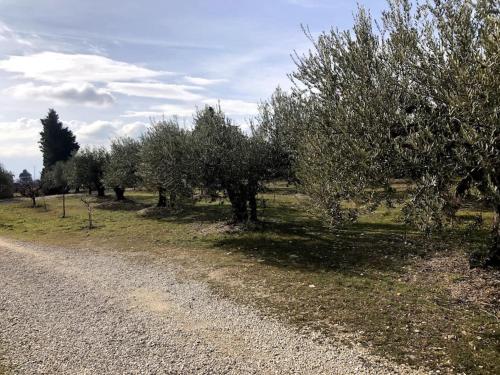 Appartement au milieu des oliviers