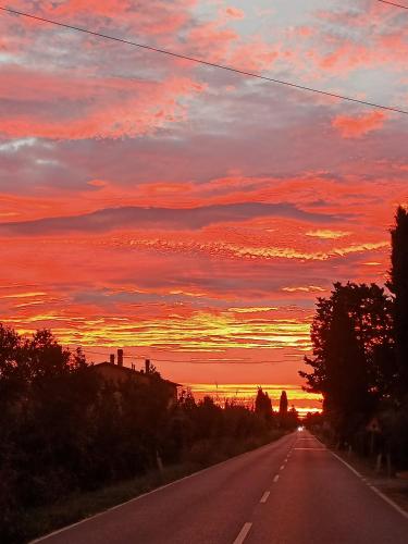 Agriturismo Il Cipresso Rosignano Marittimo