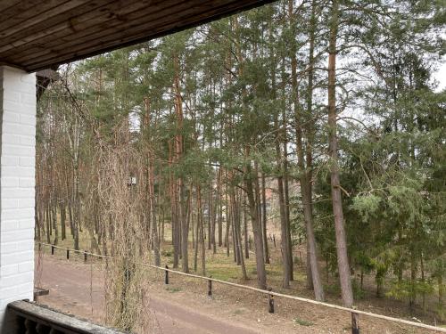 Balkons/terase, Apartament Jeziorna in Ocypel