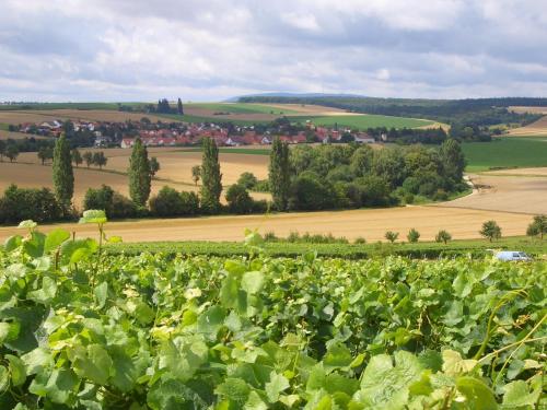 Pension und Weingut Hirschhof