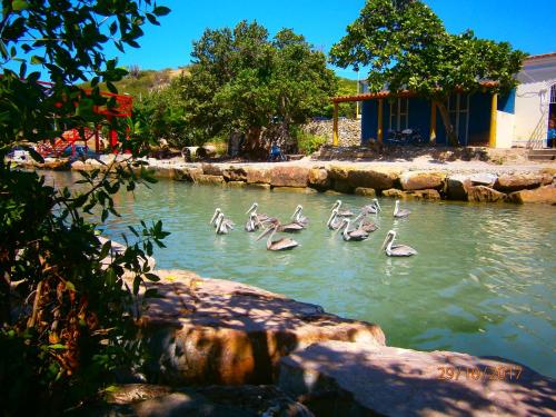 Surrounding environment, Posada la Arcadia in Pedro Gonzalez