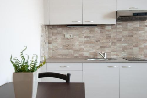 厨房, Apartmany Fonte in 奥雷奇奥瓦博顿