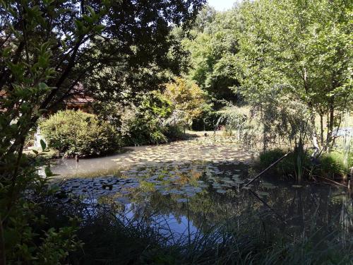 Le chalet de la grenouille verte