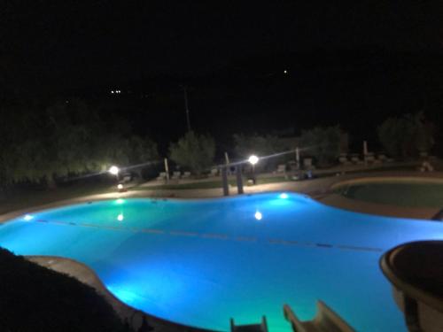 La Dolce Vita - image 9