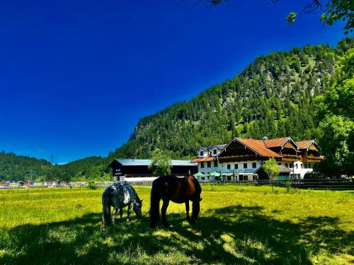 Gutshof zum Schluxen