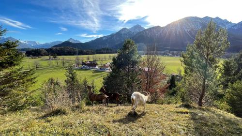 Gutshof zum Schluxen