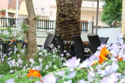 Hotel Alguer - image 3