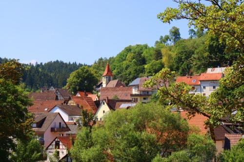 Ferienwohnung im Steinachtal