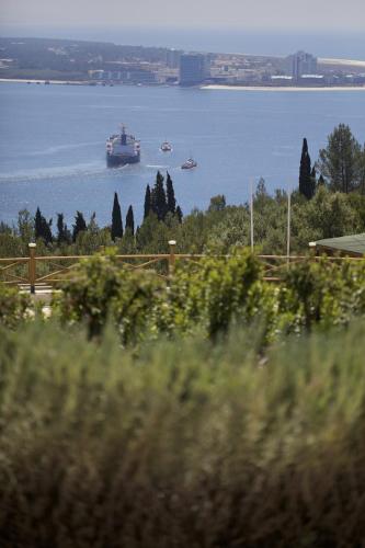 Quinta Dos Moinhos De Sao Filipe