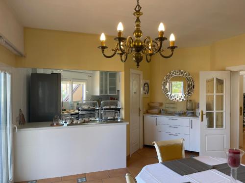 Facilities, Anna's garden in Torrevieja
