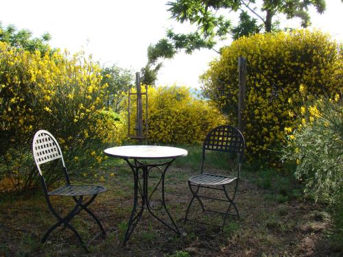 B&B Borgo Tepolini - image 9