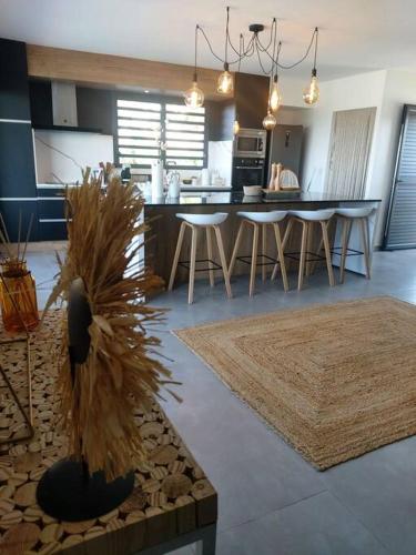 Villa Tamara in Saint Paul