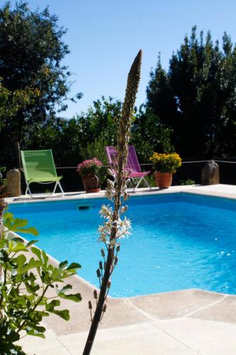 Apartamentos La Solana de Monfragüe