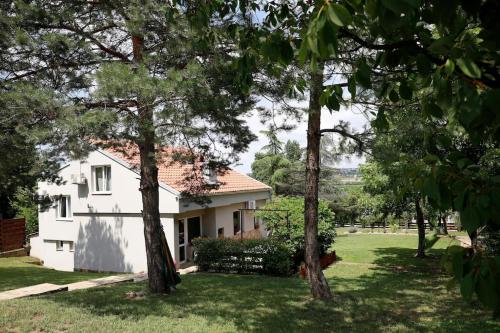 Vila Ruža Vetra