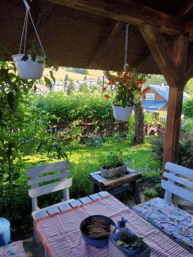 Garden, Chalupa pod Lysou - Apartma 4rooms in Rokytnice nad Jizerou