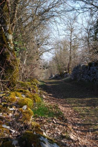 Les Etoiles de Calès