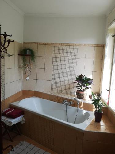 Nyugalomsziget in Kötcse