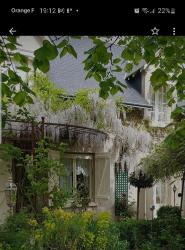 Chambres d'hôtes Jardin D'ivoire - Chambre d'hôtes - Saint-Gervais-la-Forêt