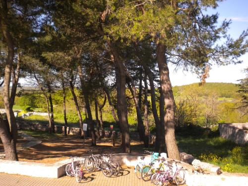 勝利國家酒店 Victor Country Hotel