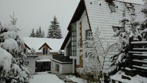 Vila Sorina - Poiana Brasov